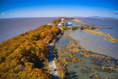 鸡西