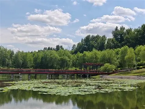 鸡西城市森林公园