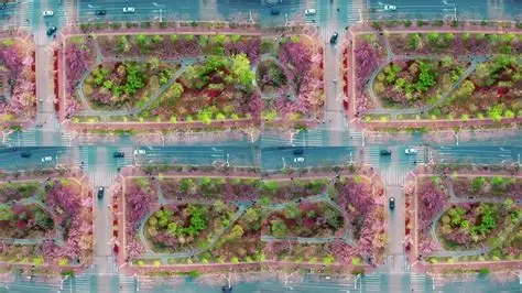鹤壁樱花大道