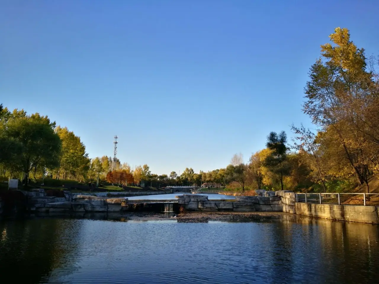 鹤岗市湿地公园