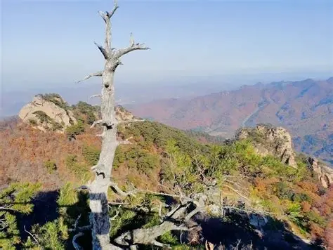 仙人台景区