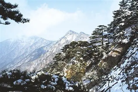 大崎山