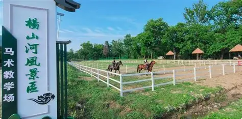 杨山河吧