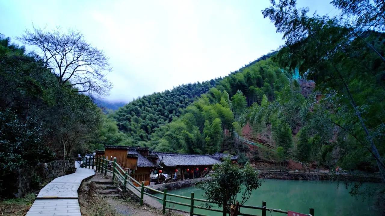 木坑竹海