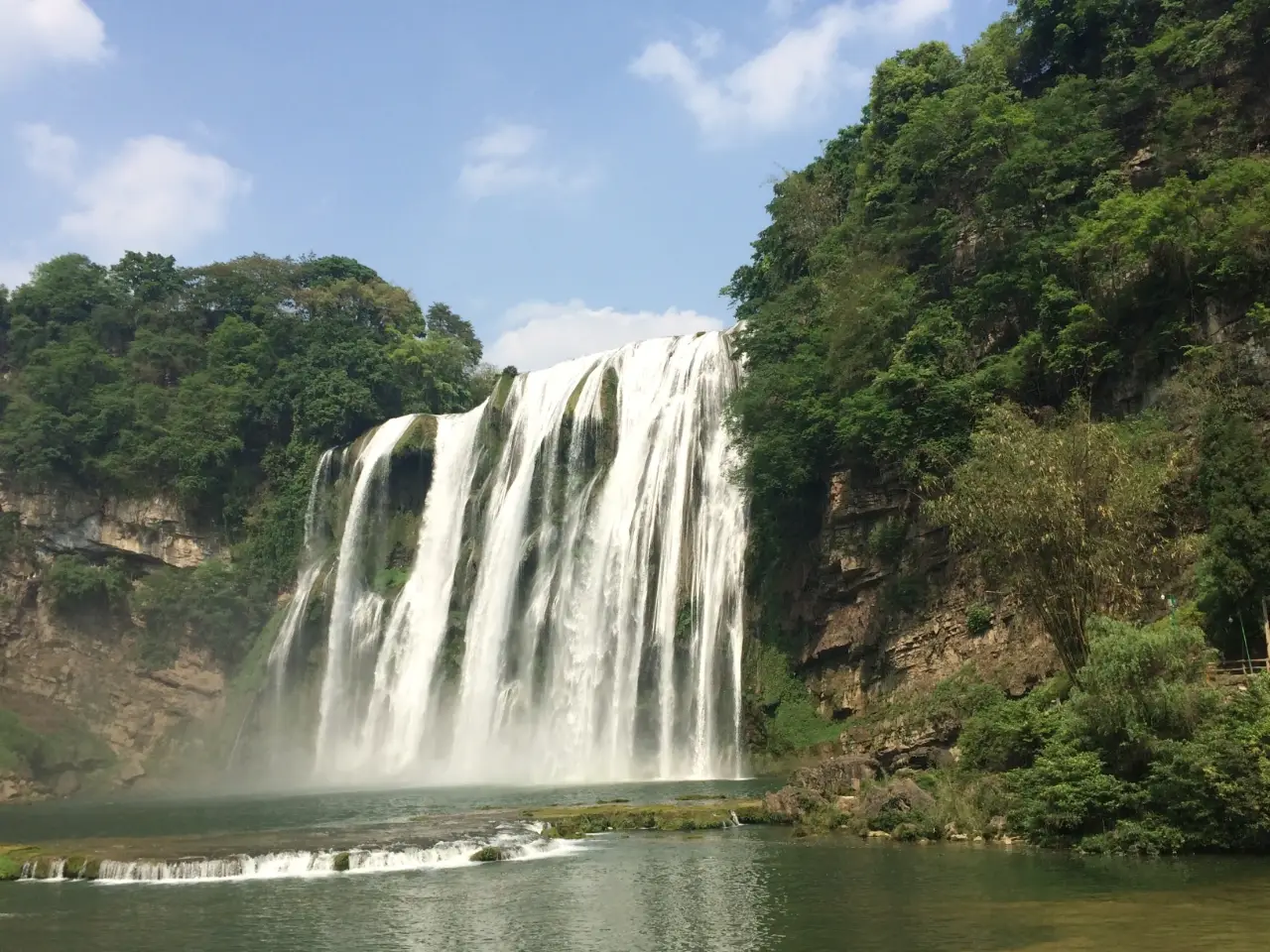 黄果树