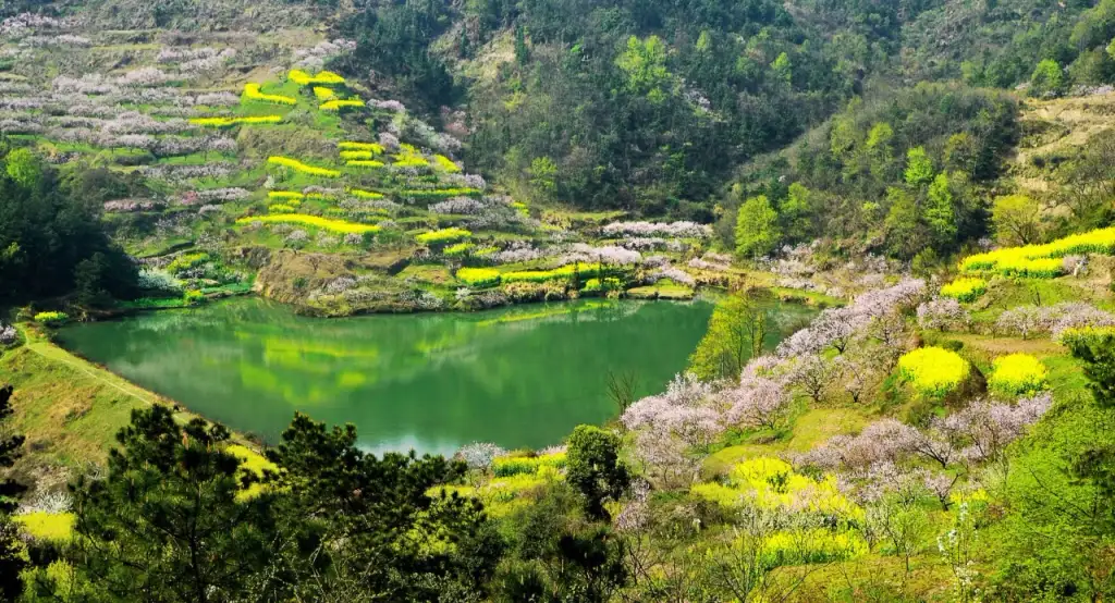 沼山古村桃乡景区