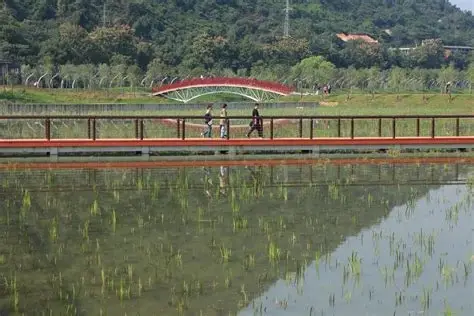 磁湖湿地公园