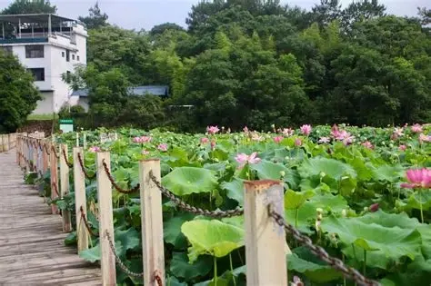 汀江国家湿地公园